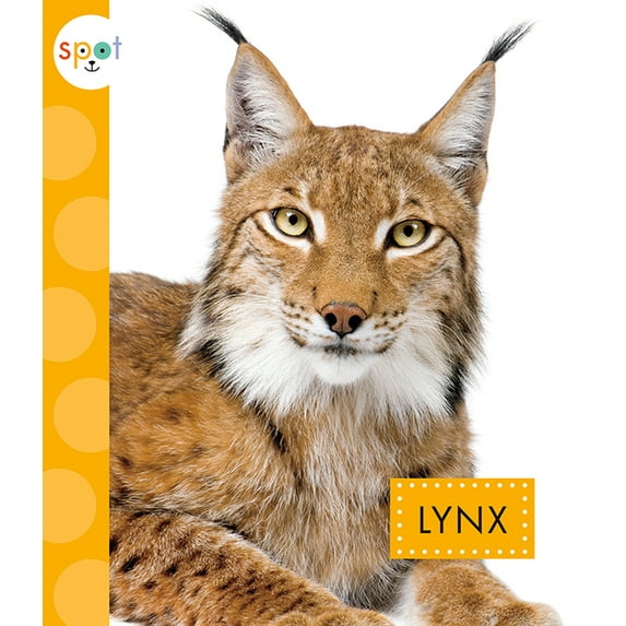 Spot Wild Cats Lynx, (Paperback)