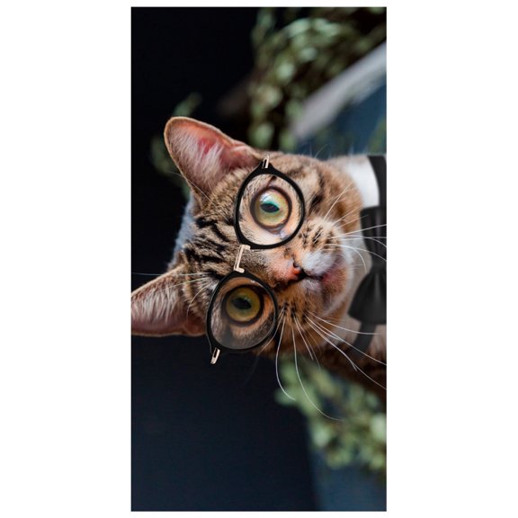 Spot beach towels, printed beach towels, large towels, and absorbent beach towels