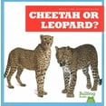 thumbnail image 1 of Spot the Differences: Cheetah or Leopard? (Paperback), 1 of 1