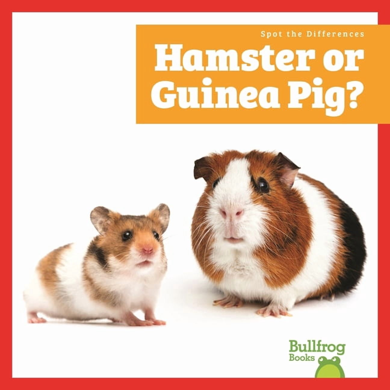 Spot the Differences Hamster or Guinea Pig?, (Hardcover)