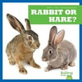 thumbnail image 1 of Spot the Differences Rabbit or Hare?, (Hardcover), 1 of 1
