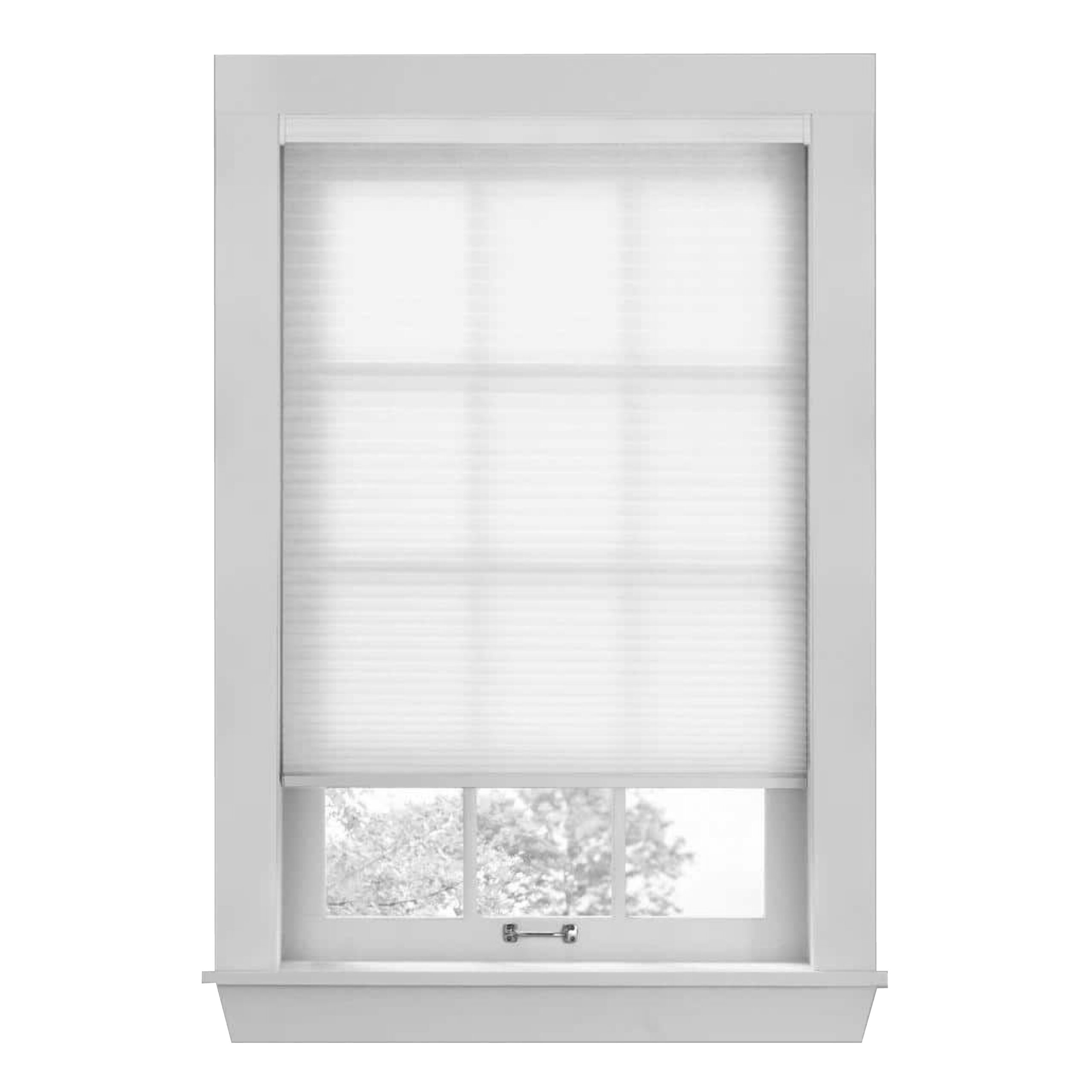 Spotblinds Custom Made Cordless 3/8 inch Single Cell Cellular Shade Light Filtering