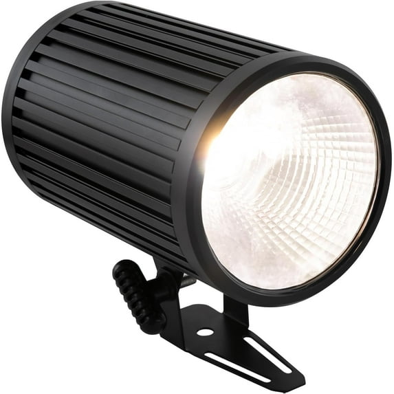 Spotlight LED Stage Lights 200W COB Stage Par Lights Cool White and Warm White Uplighting Metal Housing Strobe Light Bright for Church Wedding Concert Theater Photostudio