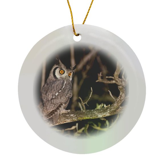 3drose, Spotted Eagle Owl, Mpumalanga, South Africa-af42 Sws0013 - Stuart Westmorland, Circle Porcelain Ornament