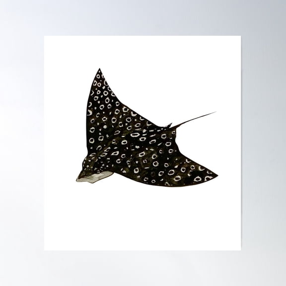 Spotted Eagle Ray Poster Wall Art, Modern Wall Decor For Living Room Bedroom, 17x17 UNFRAMED