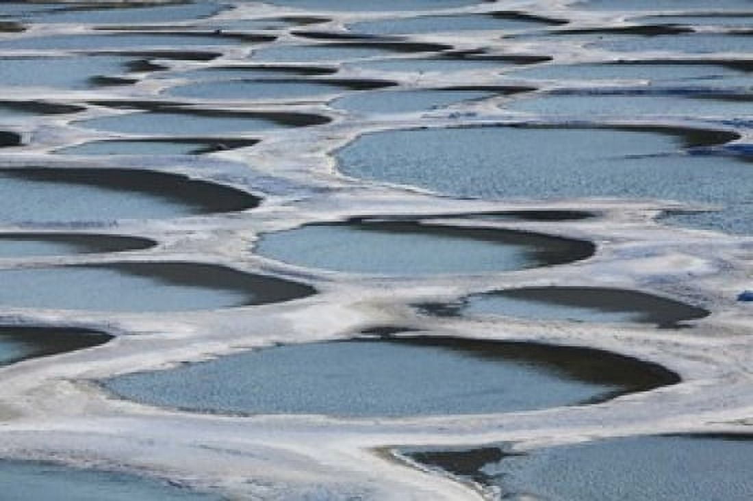 Spotted Lake Osoyoos British Columbia Canada Canvas Art - David Wall DanitaDelimont (29 x 19)