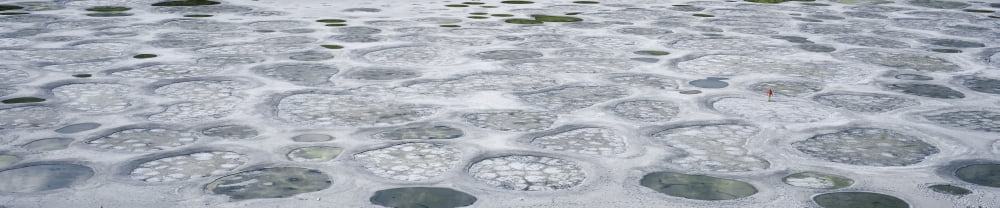 Spotted Lake Southern Okanagan Valley British Columbia Canada Canvas Art - David Nunuk Design Pics (35 x 7)