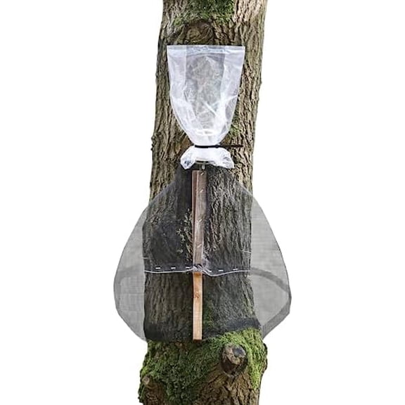 Spotted Lanternfly Tree Trap, Catch Lanternfly Without Catching Other Wildlife, Natural and Non Toxic - Made in USA$$Garden & Patio