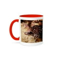 thumbnail image 1 of 3drose, Spotted Moray Eel Off Bonaire, N.a., 11oz Two-tone Red Mug, 1 of 6