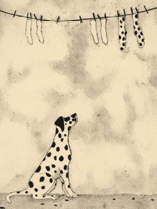 Spotty Dog And Socks Canvas Art - Jomac (18 x 24)