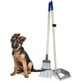 thumbnail image 1 of Spotty Metal Tray with Rake, 1 of 2