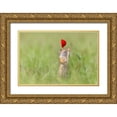 thumbnail image 1 of Spranz, Henrik 14x11 Gold Ornate Wood Framed with Double Matting Museum Art Print Titled - Reaching Out, 1 of 4