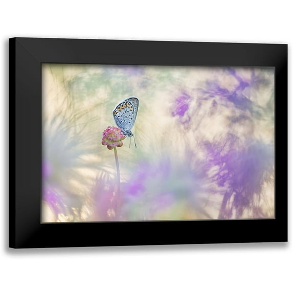 Spranz, Henrik 24x17 Black Modern Framed Museum Art Print Titled - Pulsatilla Meadow