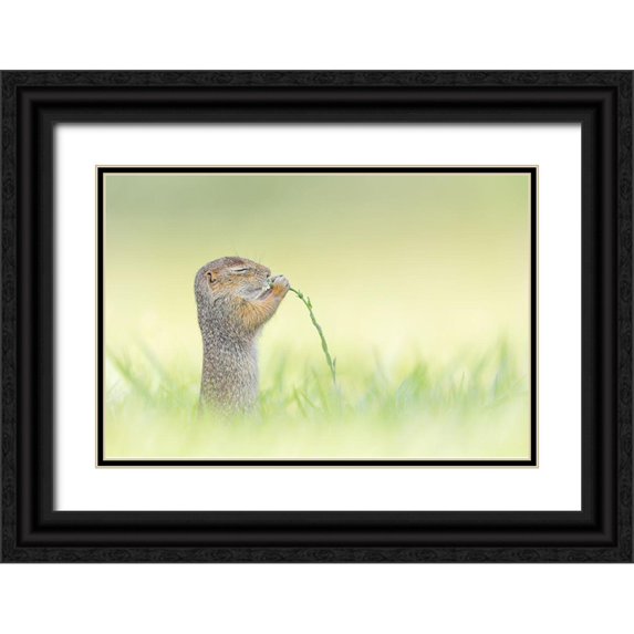 Spranz, Henrik 32x23 Black Ornate Wood Framed with Double Matting Museum Art Print Titled - Nosing