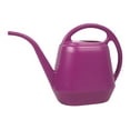 Spray Bottle inside Watering Can Watering Pitcher Indoor Watering Can Spritzer 3 Watering Can
