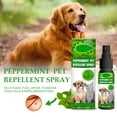 Spray Bottles,Zooraco Accessories,Mint Pet Removal Spray Dog Removal Spray Pet Removal Cat and