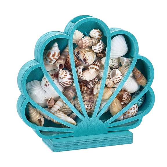 Spray Painted Wooden Shell Shaped Display Stands with Visible Acrylic Window for Stone Beads Dark Turquoise Finished Product: 20x5.95x18cm for DIY