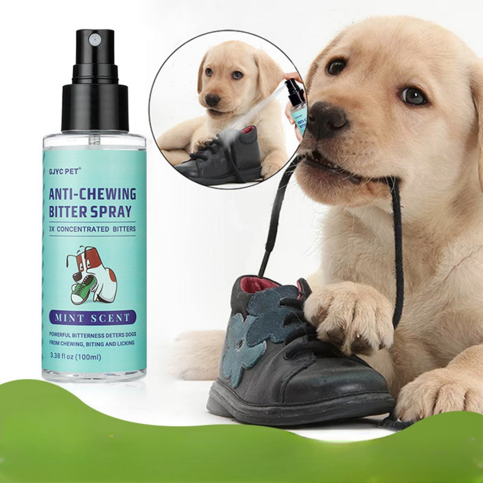 Spray,Trains Your Pet Where Not to Urinate ,Training Corrector for