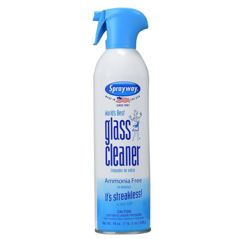 Sprayway 6 oz. Glass Cleaner SW195R - The Home Depot