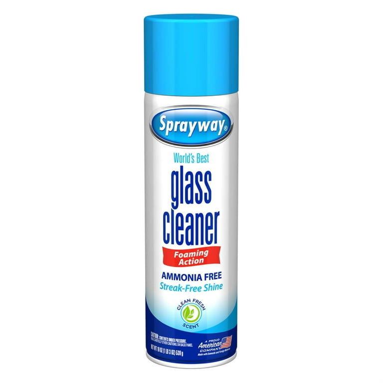 SPRAYWAY Glass Cleaner 19 oz