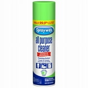 Sprayway SW5002R 19 oz Can of All-Purpose Aerosol Cleaner