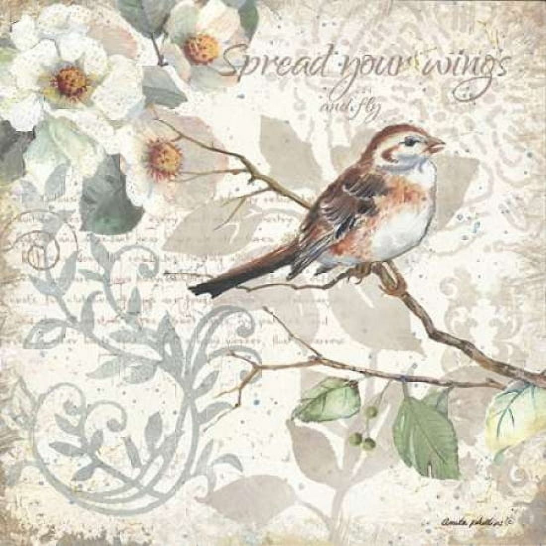 Spread Your Wings Canvas Art - Anita Phillips (24 x 24)