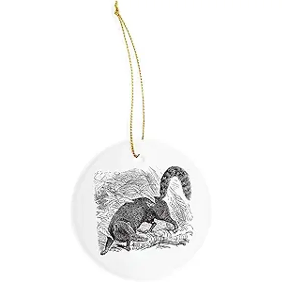 SpreadPassion Ring Tailed Coati or South American Coati or nasua - Christmas Decorations - 3" Circle Ceramic Ornament