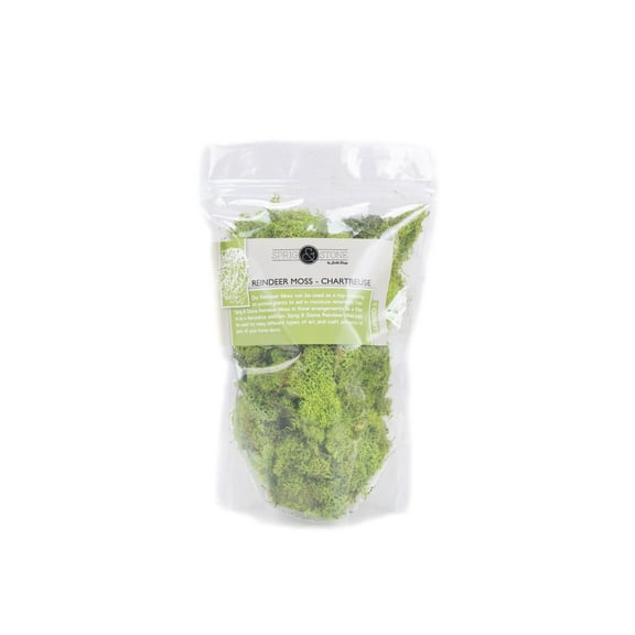 Sprig & Stone Reindeer Moss - CHARTREUSE (1 Quart)