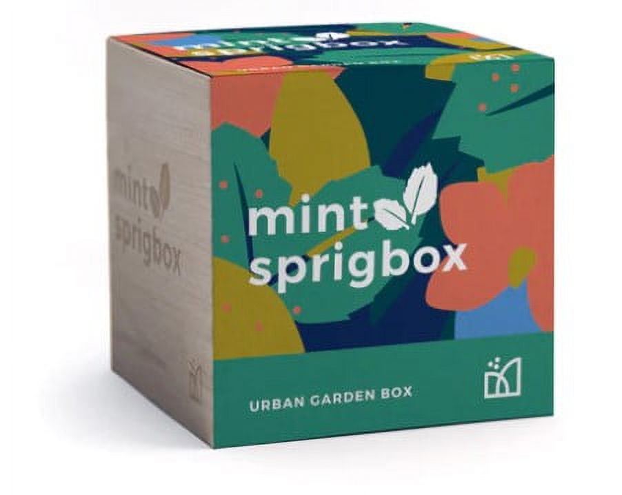 Sprigbox Mini Mint Grow Kit