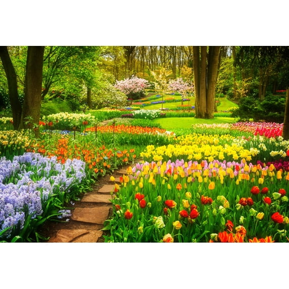 Spring Backdrops Blossom Flowers Grass Vine Park Gard Scic Photography ...
