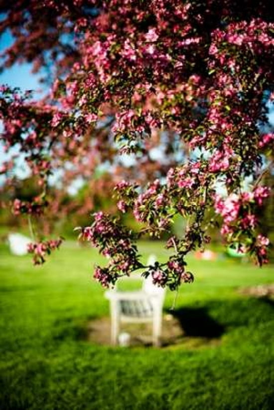 Spring Bench II Canvas Art - Beth Wold (24 x 36)