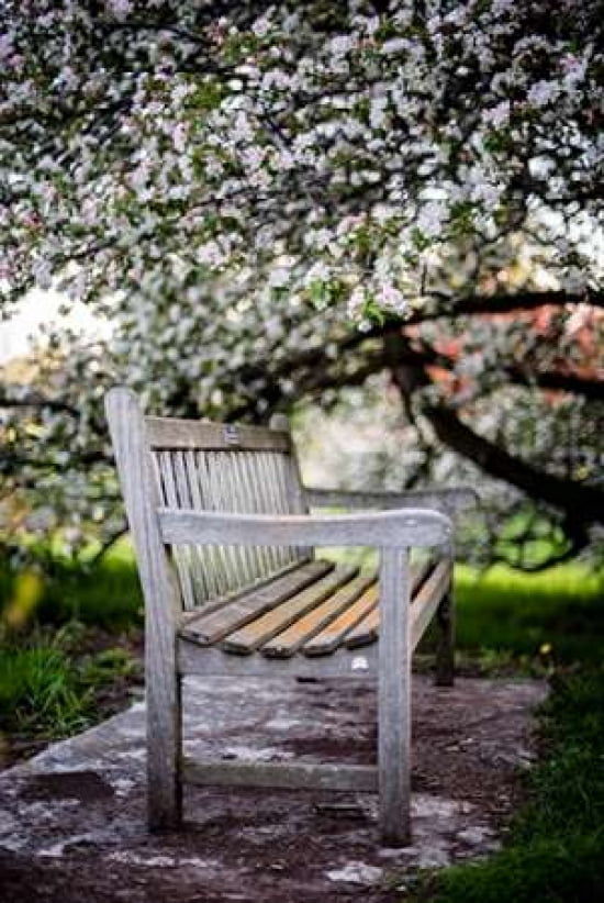 Spring Bench III Canvas Art - Beth Wold (24 x 36)