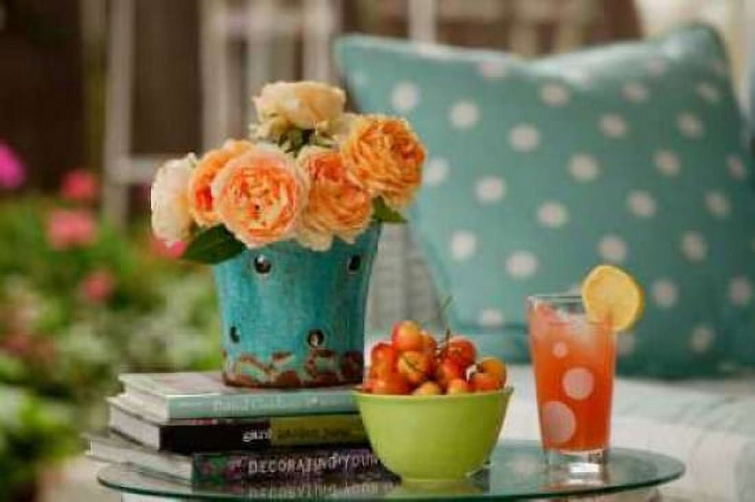 Spring Bliss I Canvas Art - Philip Clayton-Thompson (12 x 18)