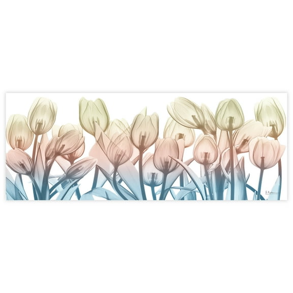 Spring Blooms Frameless Free Floating 63 in x 24 in Painting Art Prints, by Empire Art