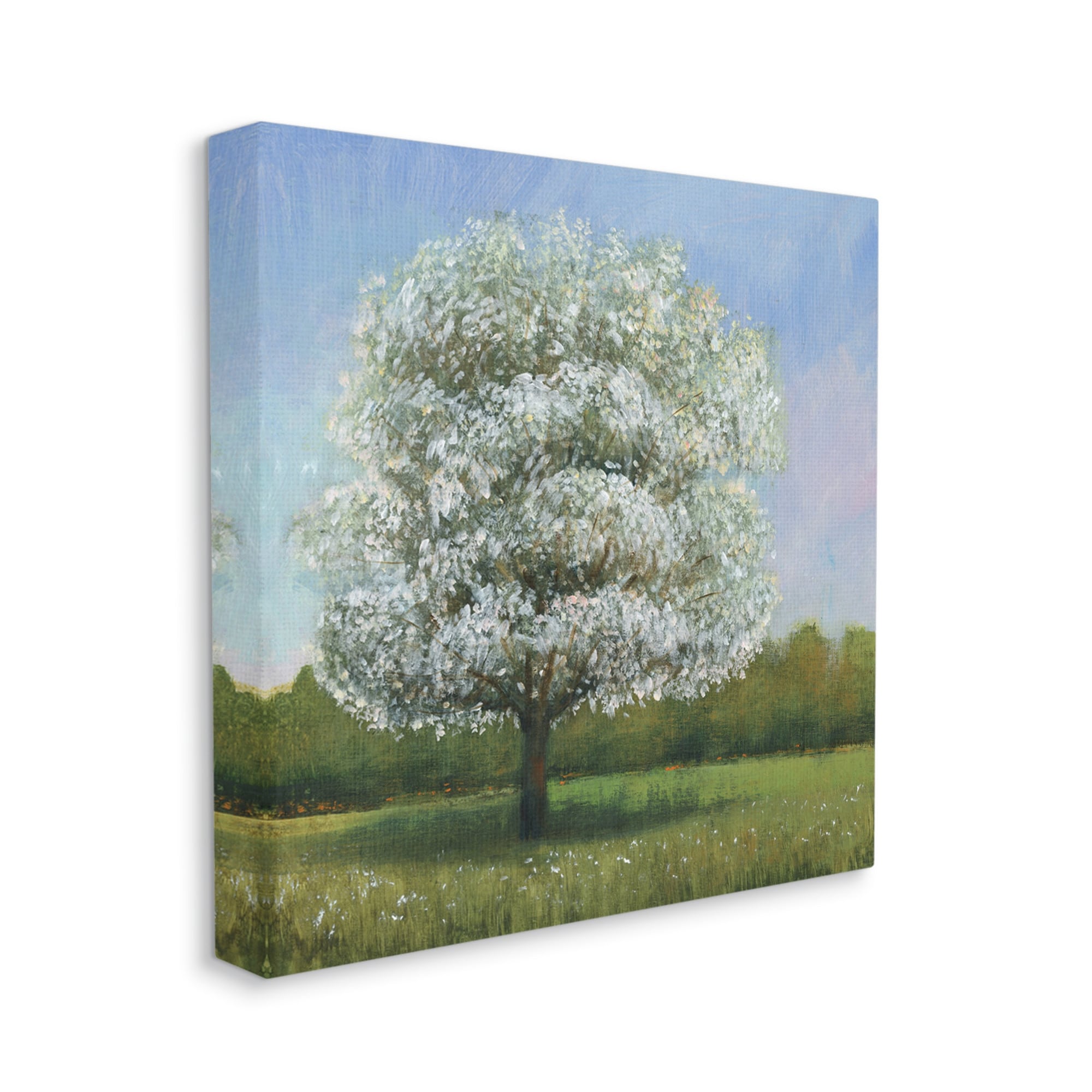Spring Blossom Tree Landscape White Floral Meadow Landscape Gallery-Wrapped Canvas Print Wall Art, 17x17