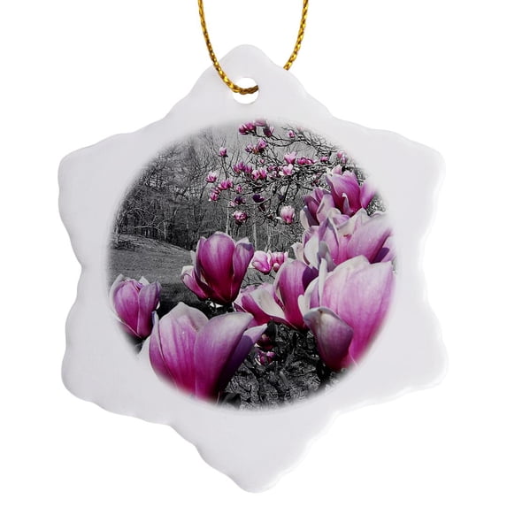 3drose, Spring Blossoms Featuring Pink Flowering Blossoms in a Black and White Picture, 3 inch Snowflake Porcelain Ornament