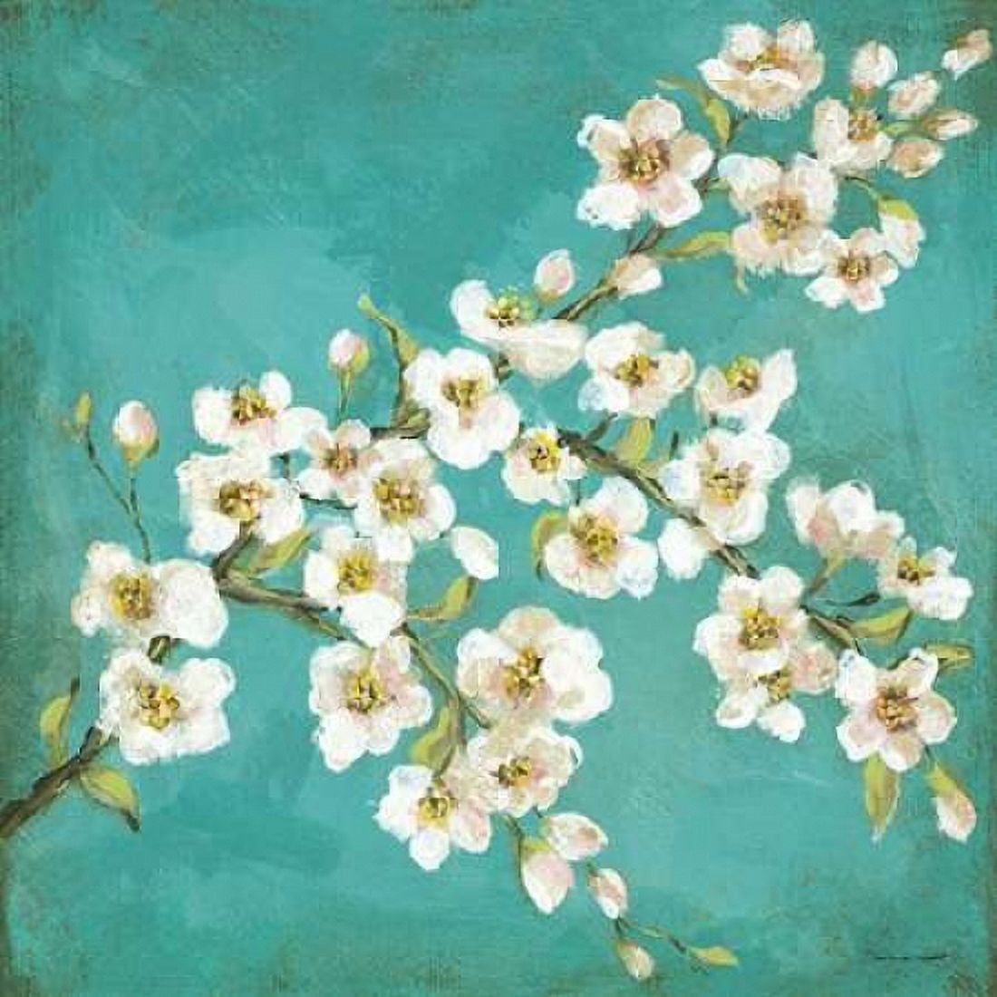 Spring Blossoms II Canvas Art - Stephanie Marrott (24 x 24)