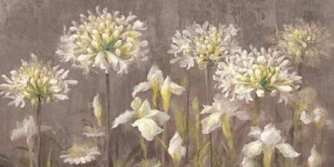 Spring Blossoms Neutral II Canvas Art - Danhui Nai (10 x 20)