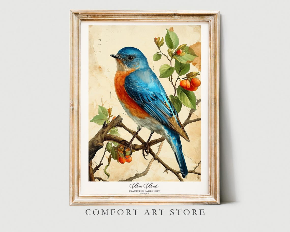 Spring Blue Bird Wall Art Print, Audubon Style Nature And Botanical ...