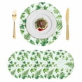 thumbnail image 1 of Spring Botanical Round 13 Inch Placemats Set of 4, Green Ivy Ferns Oak Leaves Light Blue HeatResistant Non Slip Place Mats for Dining Table, Wipeable Braided Kitchen Table Mats for Housewarming, 1 of 9