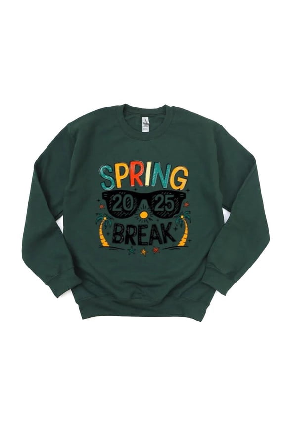 Spring Break 2025 Vacation Trip Beach Party Fun Future Sweatshirt, for men & women, up to size 5XL