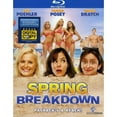 thumbnail image 1 of Spring Breakdown (Blu-ray), 1 of 1