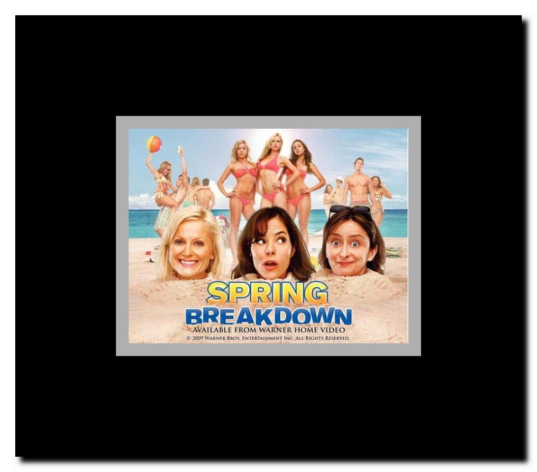 Spring Breakdown Framed Movie Poster