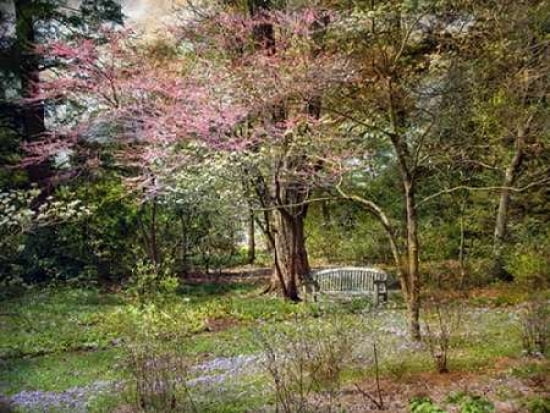 Spring Canvas Art - John Rivera (18 x 24)