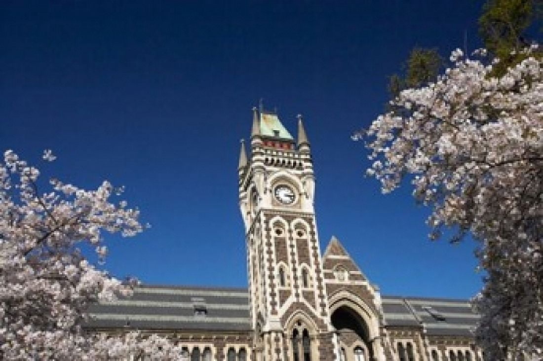 Spring Clock Tower Dunedin South Island New Zealand (horizontal) Canvas Art - David Wall DanitaDelimont (24 x 15)