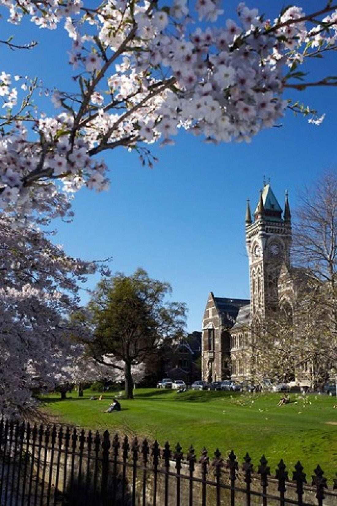 Spring Clock Tower Dunedin South Island New Zealand (vertical) Canvas Art - David Wall DanitaDelimont (24 x 35)