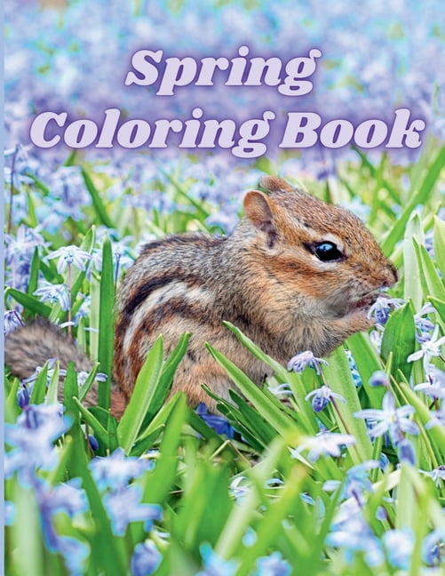 Spring Coloring Book: Springtime Adult Coloring Pages with Butterflies, Wildflowers, Birds and Easy Spring Themed Scenes, (Paperback)