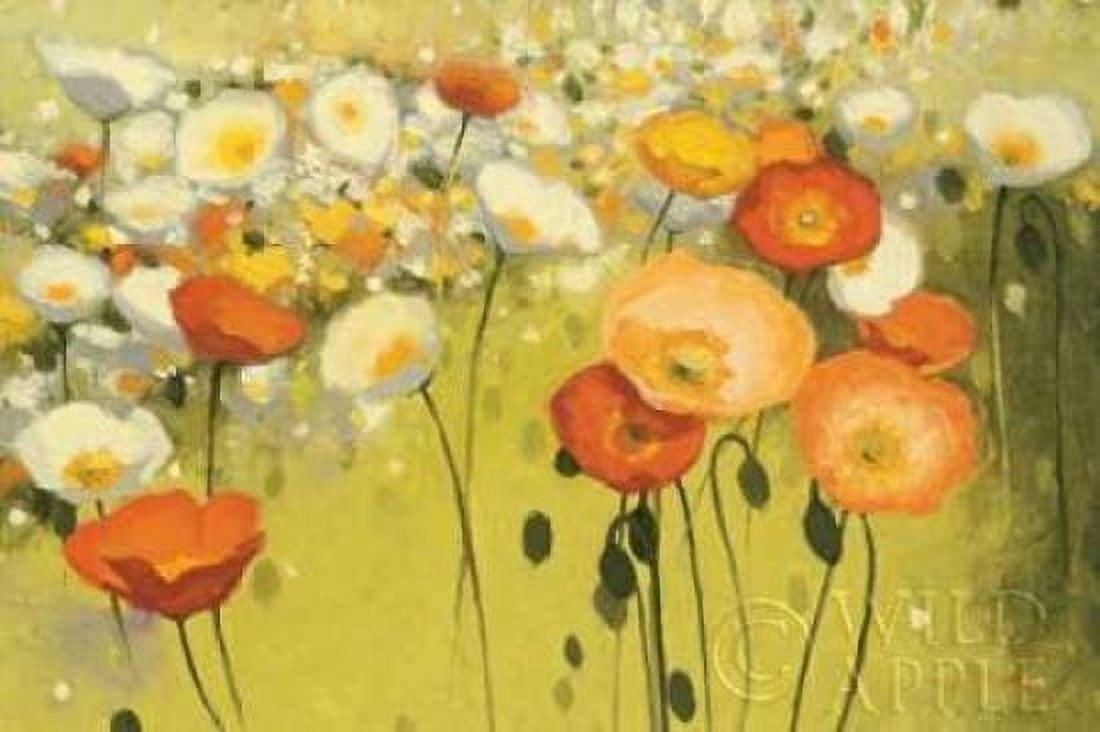Spring Confetti Canvas Art - Shirley Novak (24 x 36)