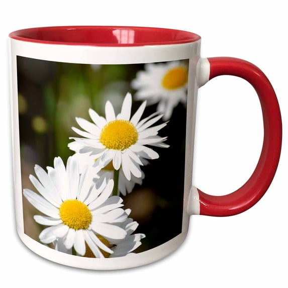 3drose, Spring Daisies - White Flowers - Photography, 11oz Two-tone Red Mug