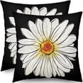 thumbnail image 1 of Spring Daisy Pillow Covers 16x16 Set of 2 Cute Floral Black Summer Outdoor Decorative Throw Pillows Farmhouse Flower Pillowcases Linen Cushion Case Decor for Home Sofa Couch Bed, 1 of 1
